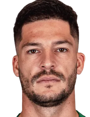 https://img.zjzlxg.com/img/football/player/41c12dd8bbdcce772cc5640ee09ec825.png