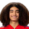 https://img.zjzlxg.com/img/football/player/87359ed9061cfd73513d827263deebcd.png