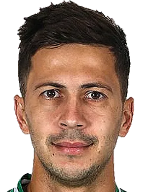 https://img.zjzlxg.com/img/football/player/a7521cae3d55835286cc258209d1ffee.png