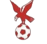 https://img.zjzlxg.com/img/football/team/4802d26df935b78bb2fcdbbff36e8864.png