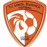 https://img.zjzlxg.com/img/football/team/5477d301041e00b2de35d5eeea2fabb4.png