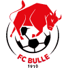 https://img.zjzlxg.com/img/football/team/b201265fa89720bf8cd8ef95549a4738.png